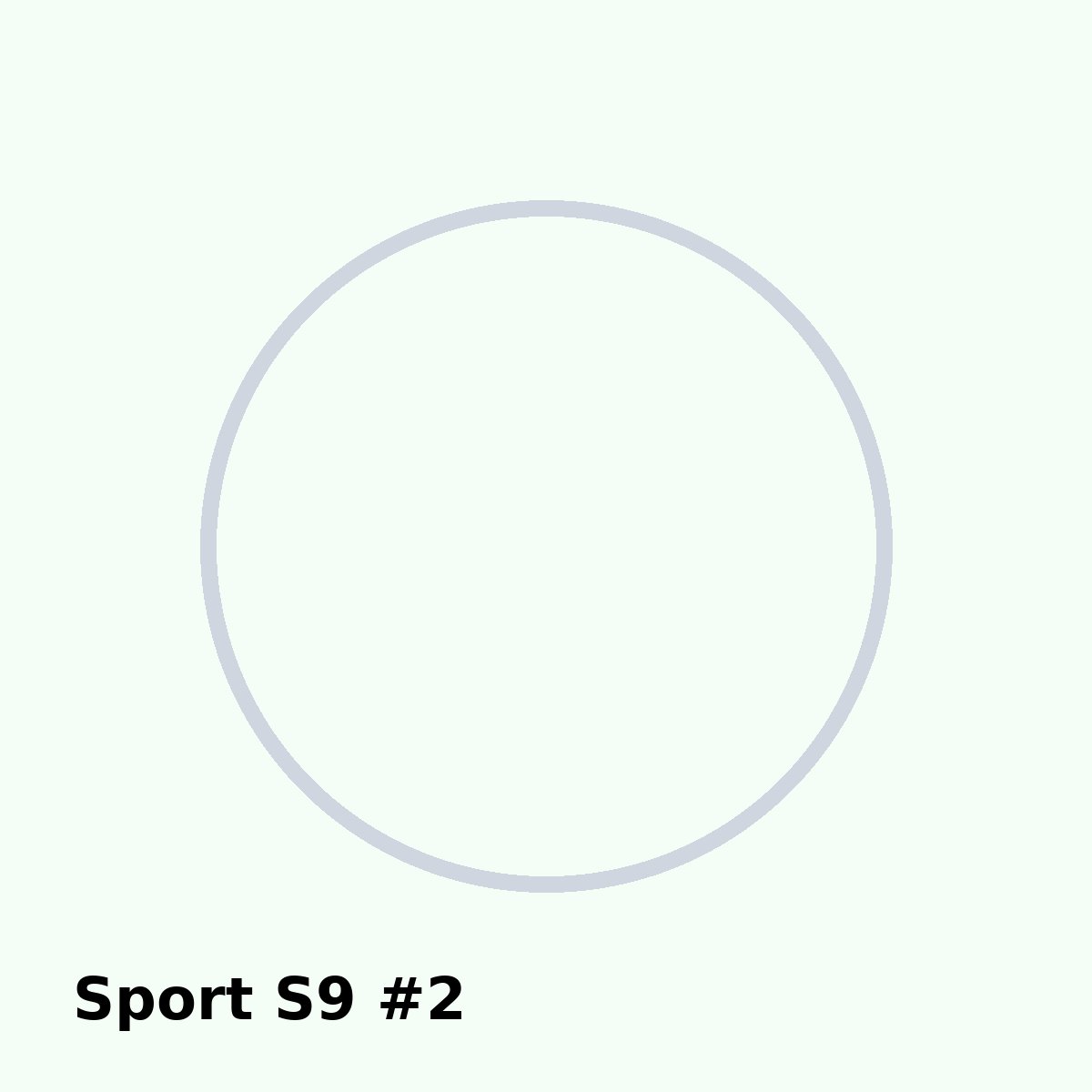Sport S9 фото 2