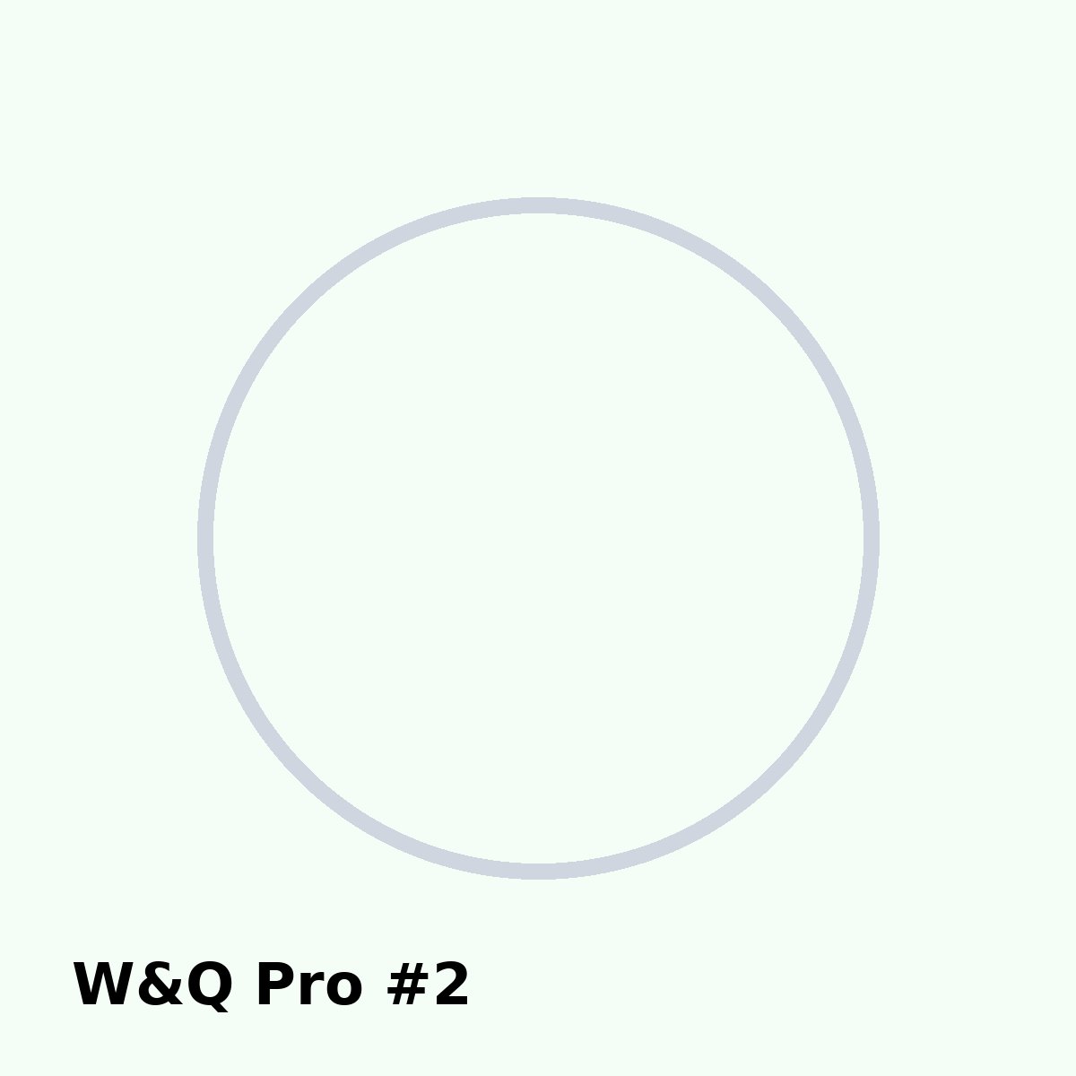 W&Q Pro фото 2