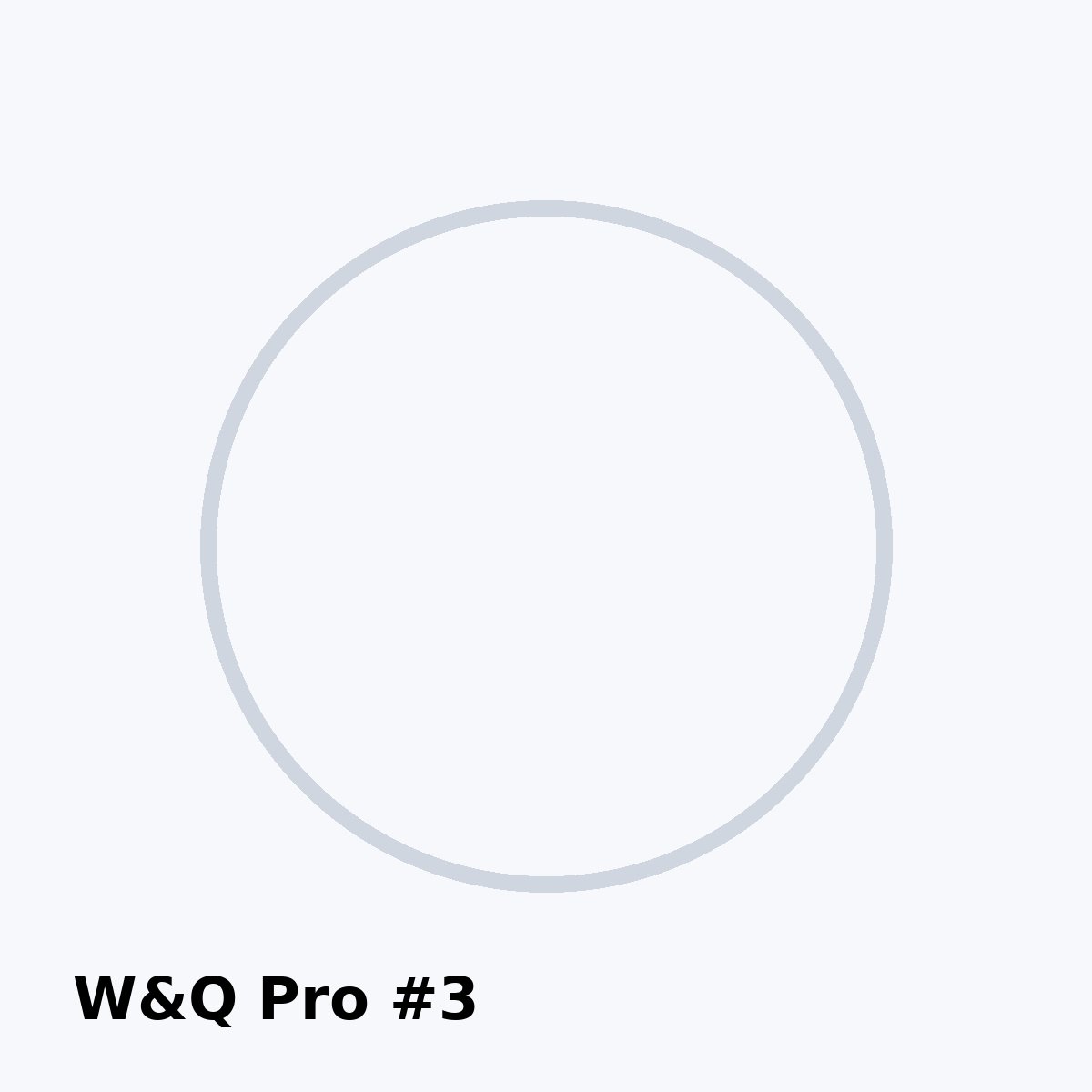 W&Q Pro фото 3