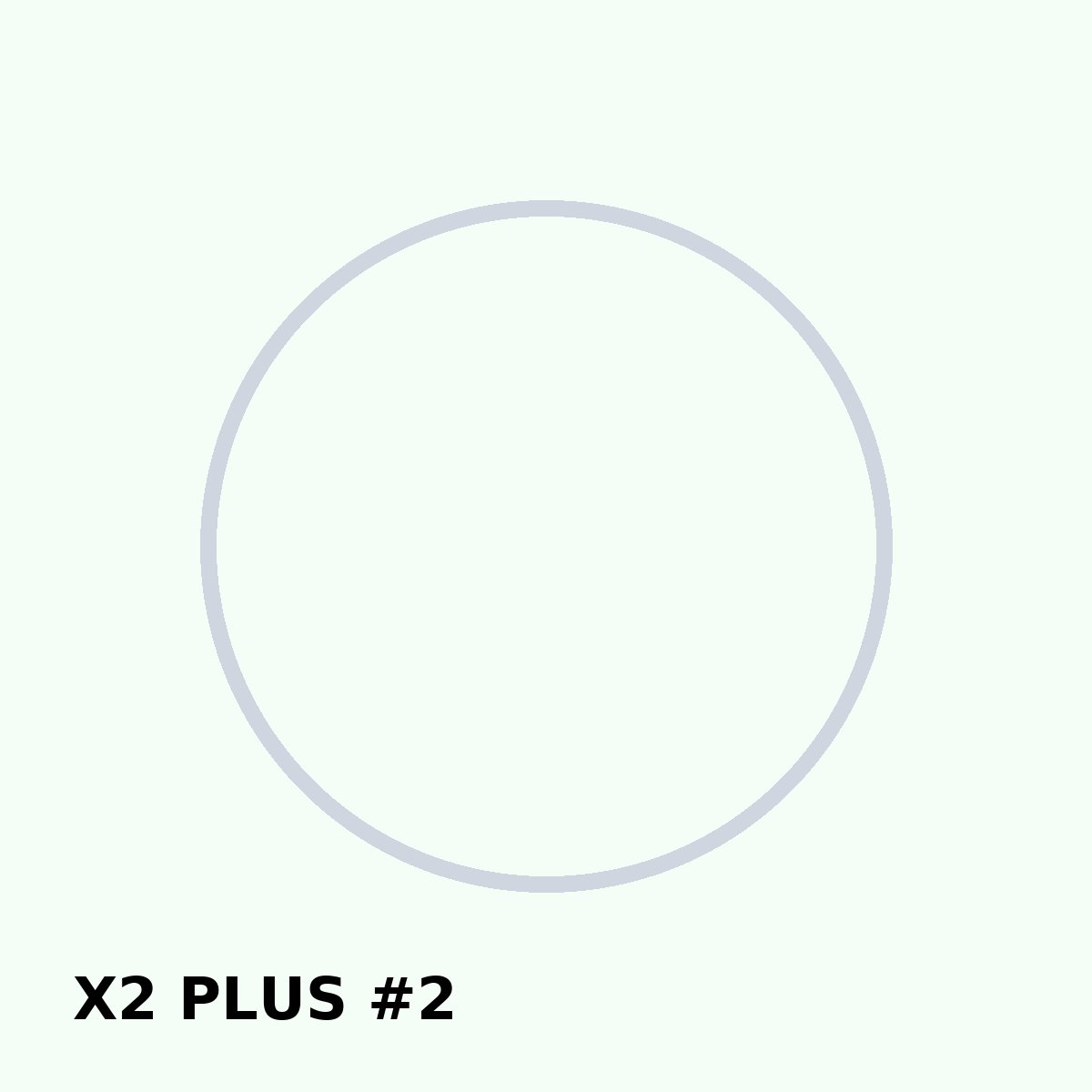 X2 PLUS фото 2